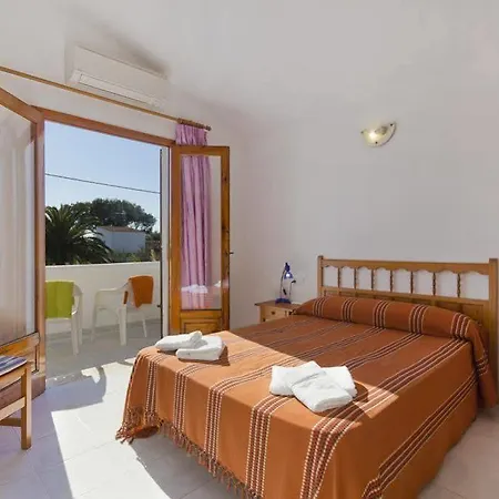 Palmeras By Mauter *