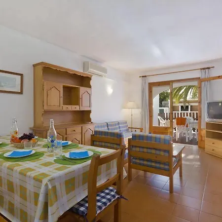 Palmeras By Mauter *