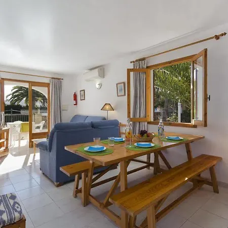 Palmeras By Mauter *