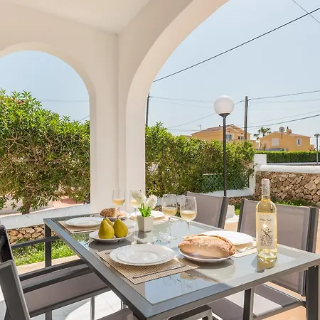 Palmeras By Mauter *