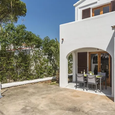 Palmeras By Mauter *