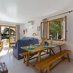 Palmeras By Mauter *
