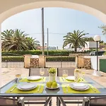 Palmeras By Mauter *
